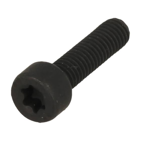 Genuine GGP Screw - 123878081/0