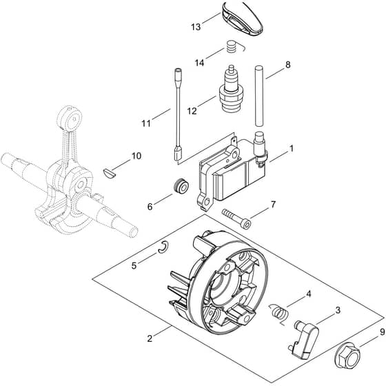 Echo PB-8010 Magneto