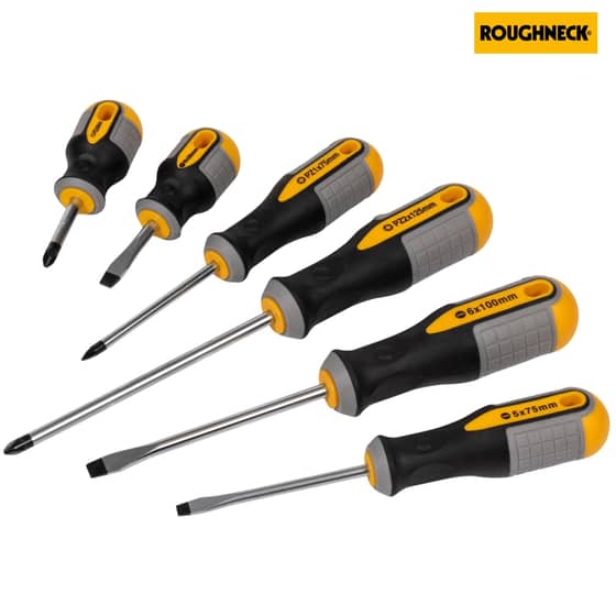 Roughneck Screwdriver Set of 6 SL / PZ - 22-198