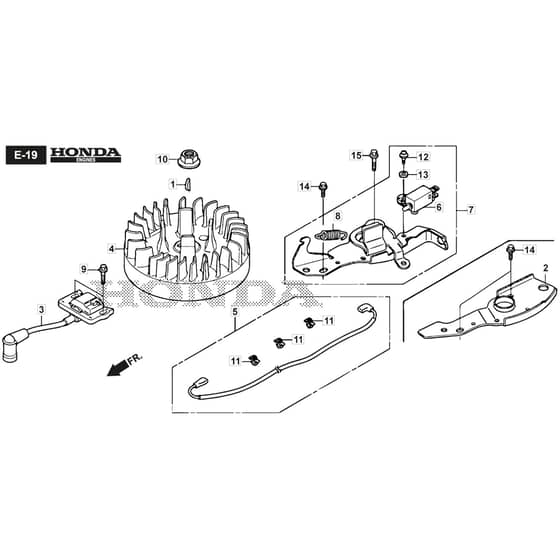 SP555 V - 2019-2021 - 294563038/M19 - Mountfield Rotary Mower Flywheel Diagram