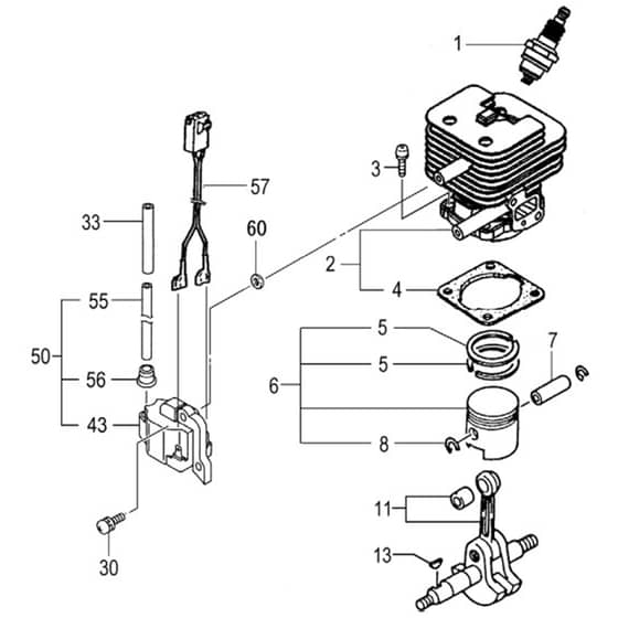 Tanaka TBC-340D - Aug 2012 - Cylinder Piston Crankshaft