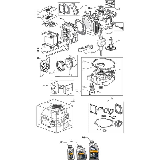 TM 15.38 H - 2010 - 2T0620433/M10 - Mountfield Ride On Mower Engine - ST. TRE0701 Diagram