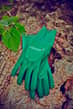 Town & Country Master Gardener Gloves (Green, Small) - TGL200S