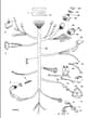 Hayter 14-38 Ride On Tractor - H1438 - Wiring Loom