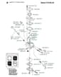 Husqvarna 336 - 2006-Current - Carburetor Details