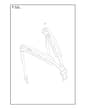 Husqvarna 541RB - Harness