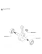 Husqvarna 55 - 2007-Current - Crankshaft