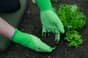 Town & Country Master Gardener Lite Gloves Large - TGL444L