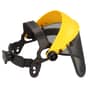 Face Mask Shield With Mesh Visor