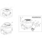 1538H - 2020-2021 - 2T2620483/M20 - Mountfield Ride On Mower Fuel Pump Diagram
