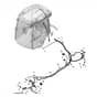 John Deere 1585 - PC12161 - Cab Wiring (2/3) (100001 - ) - ST1069329