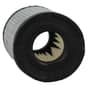 Tecumseh AQ148, H30, LEV100, OVRM60 Air Filter - 35066