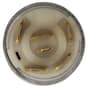 Genuine Durite Ignition Switch - 0-351-05