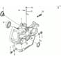 195 S - Bertolini Tiller Crankcase Diagram