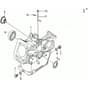205 S - Bertolini Tiller Crankcase Diagram