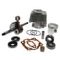 Stihl TS350, TS360, 08s Engine Rebuild Kit (49mm Bore)