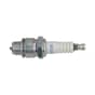 Genuine NGK BR6HS Spark Plug, Single