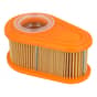 Briggs & Stratton DOV Air Filter - 792038