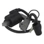 Robin & Subaru EY20, EY23 Ignition Coil - 227-79460-11