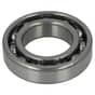 Universal 6006 Bearing