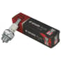 Genuine Champion CJ8 Spark Plug, Single