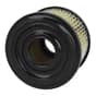 Briggs & Stratton 7hp, 8hp Air Filter - 496047