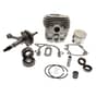 Stihl TS410, TS420 Engine Rebuild Kit C/W Gen Seals, 50mm Bore (Pre 2013)