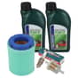 Kohler CH395, CH440 Service Kit (Filters, Plug & Oil)