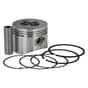 Honda GXH50 Piston & Rings