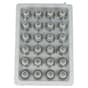 Genuine Champion RJ19LM Spark Plugs, Pack of 24