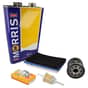 John Deere X300, X300R Service Kit - LG256 (Kawasaki FH491V) - See Note