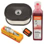 Genuine Stihl MS460 Service Kit & Oil