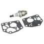 Genuine Briggs Sprint Service Kit (Plug & Diaphragm)