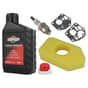 Genuine Briggs Sprint Service Kit (Filter, Plug, Oil, Primer, Diaphragm)