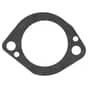 Zama Pump Diaphragm & Gasket Set - 0016084, 0015091, 0016083