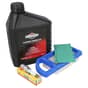 Briggs & Stratton Intek Service Kit (Air Filters, Plug, Oil)