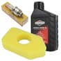 Briggs & Stratton Sprint New Type Service Kit (Air Filter, Plug, Oil)