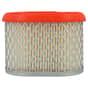 Briggs & Stratton 083132, 083152 Air Filter - 796970