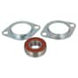 Genuine Eliet E401 Scarifier Bearing Kit - BL801102000