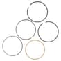 Genuine Briggs & Stratton Ring Set - 590523