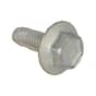 Genuine Briggs & Stratton Screw (Exhaust Guard) - 790745