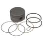 Genuine Briggs & Stratton Piston Assy 030 - 795430