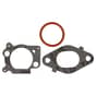 Genuine Briggs & Stratton Carburettor - 799447