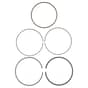 Genuine Briggs & Stratton Piston Ring Set - 843806