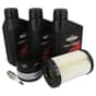 Genuine Briggs & Stratton Tune Up Kit - 992243