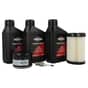 Genuine Briggs & Stratton Tune Up Kit - 992243