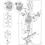Stihl BR600 - Engine - Parts Diagram