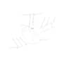 CHEYENNE 26 (KAWASAKI) - 2024 - Oleo-Mac Ride On Mower Tank Diagram
