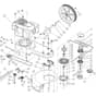 Cobra WT56B - Wheeled Trimmer Main Diagram