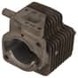 Genuine Echo Cylinder - 101-011-452-30